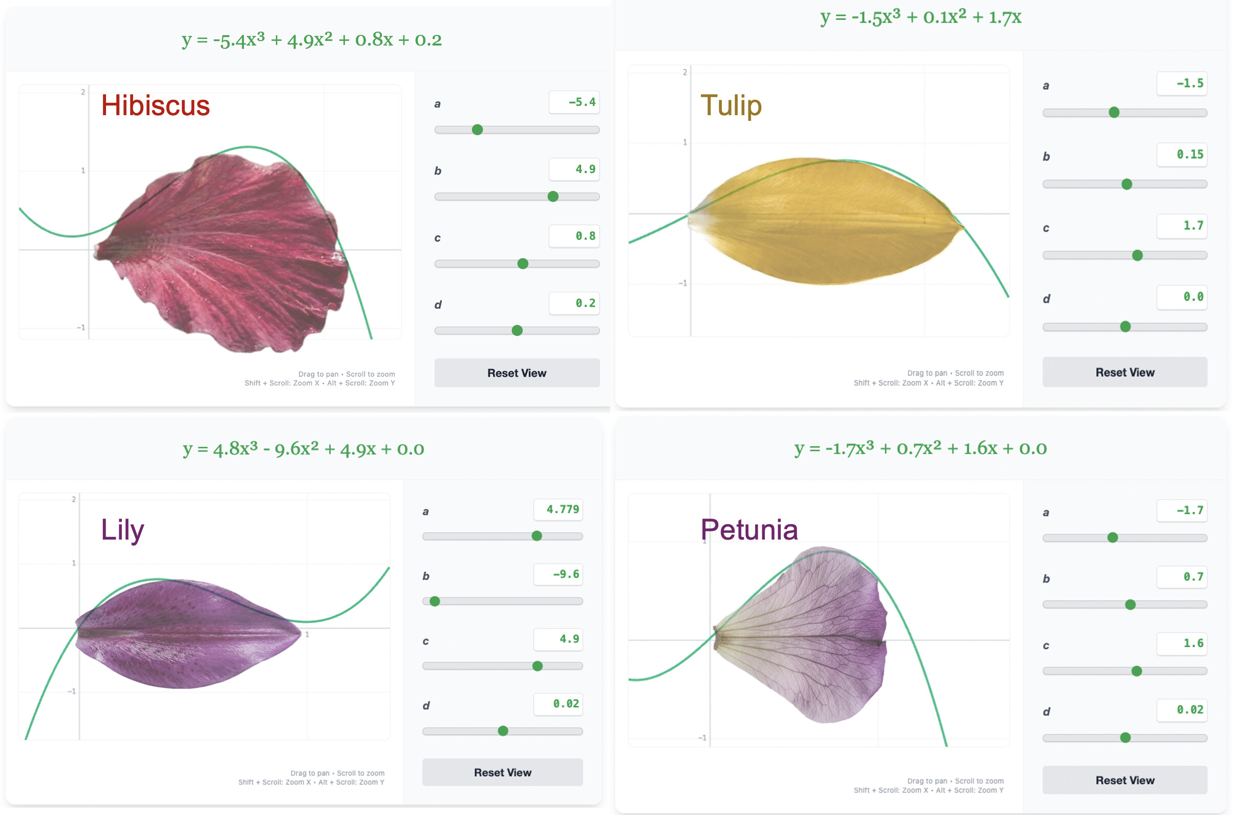 Petals overlaid against their corresponding cubic functions